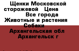 Щенки Московской сторожевой › Цена ­ 35 000 - Все города Животные и растения » Собаки   . Архангельская обл.,Архангельск г.